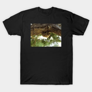 ⁣Cicada shell. It was in a hurry. T-Shirt